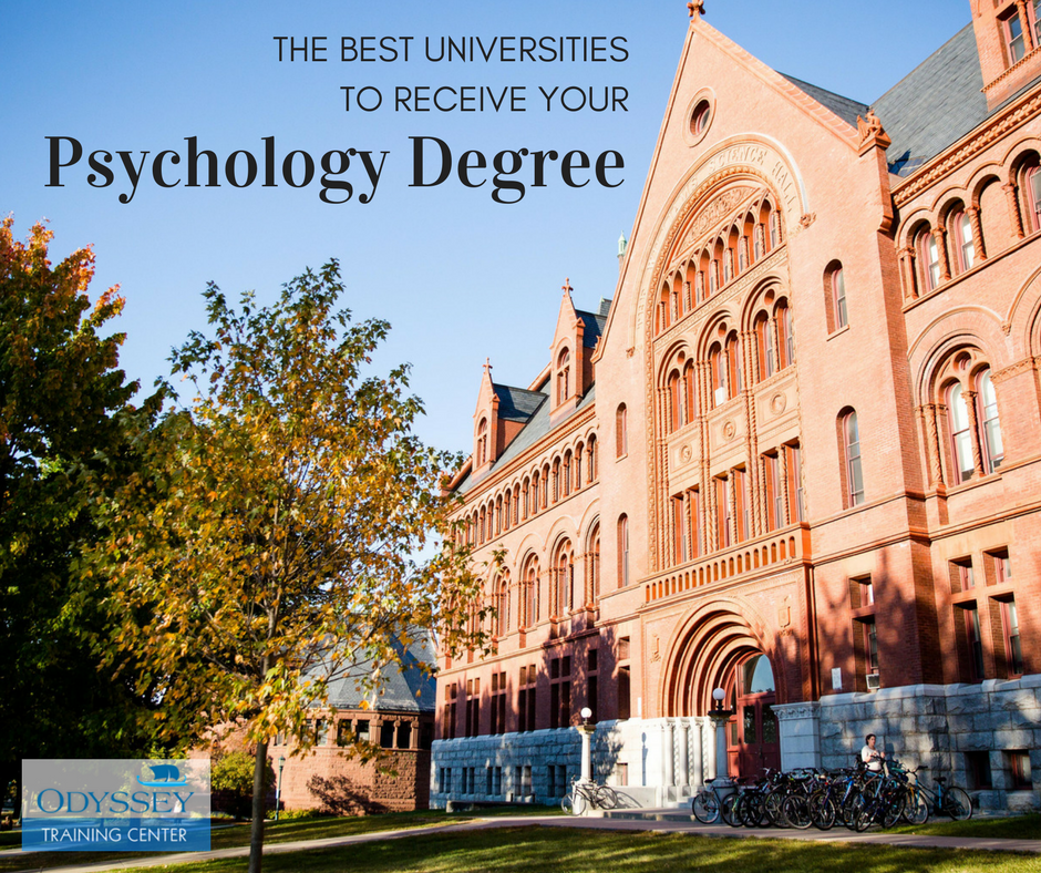 The Best Universities To Receive Your Psychology Degree