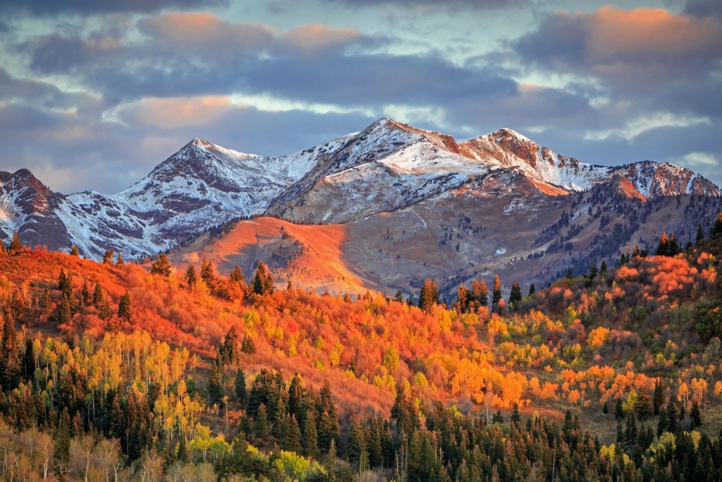 Colorful fall sunrise in the Wasatch Mountains, Utah, USA.